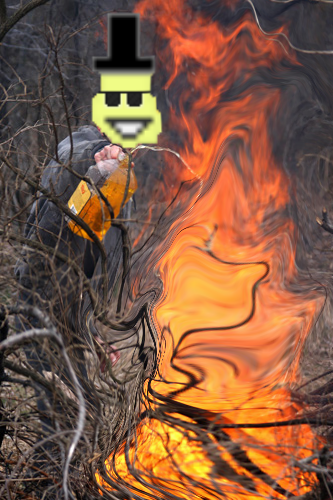 1142_tmp_183765455300052_eab97c36ddpicsay768693430_1.png