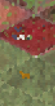 Screenshot_20170715-144649.jpg