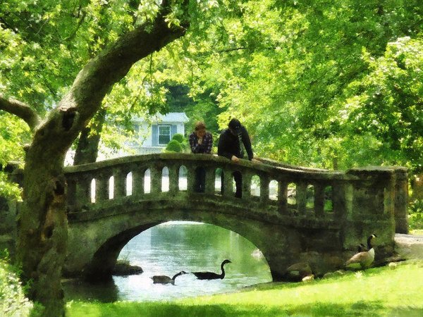 couple-on-bridge-in-park-susan-savad.jpg
