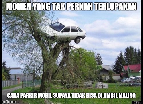 1ug5ae.jpg
