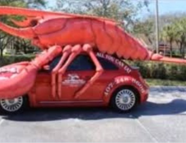 IMG_20230516_200811.jpg