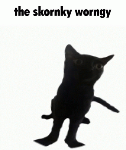 jinx-cat-jinx-the-cat.gif