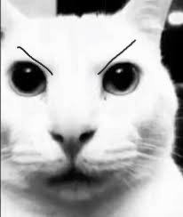 muahahahahah.jpeg
