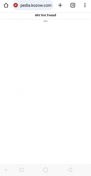 Screenshot_2025-04-06-10-48-21-87.png